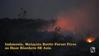 Indonesia, Malaysia Battle Forest Fires as Haze Blankets SE Asia