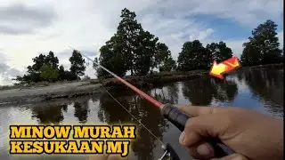 Ultralight casting di muara menggunakan umpan minow kepala merah 6,5gr