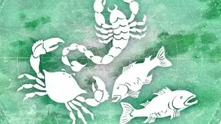 Bürcləri nələr gözləyir? XƏRÇƏNG, ƏQRƏB,BALIQ♋️♏️♓️