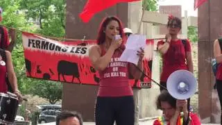 Samantha Shorkey Why Vegan Story and Inspiration
