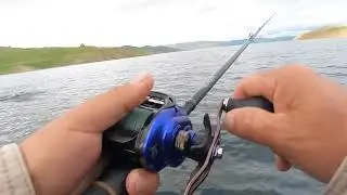 Slow motion huge striped bass top water attack. 😱 