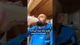 I Experienced the Delight of Fresh Milk Straight from a Swiss Farm!