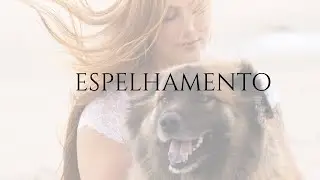 OS ANIMAIS SÃO NOSSOS ESPELHOS E VOCÊ PRECISA SABER DISSO - veterinária integrativa DE VERDADE