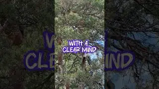 Calm your mind with this positive affirmation 🧘🏻&zwj;♀️✨💫🧘🏻&zwj;♂️