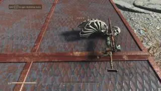 Funny Bones