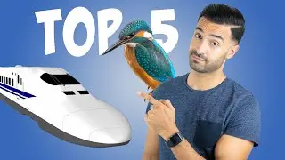 Inventions humaines inspir&eacute;es par la nature - BIOMIMETISME