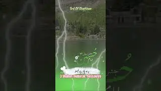 3 Shaban #eid#event#celebration#shia#islam#iran#viralvideo#viralshorts#foryou#contentcreator#malad