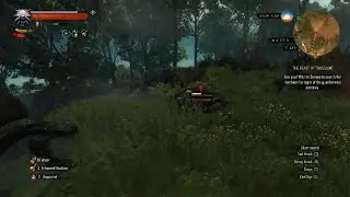 The Witcher 3: Wild Hunt garkain Boss