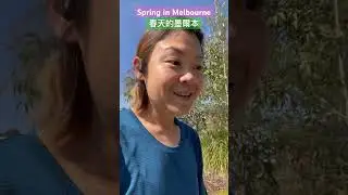 Spring 🌼 time in Melbourne 墨爾本春天來臨 #melbourne #springseason #春天的墨爾本