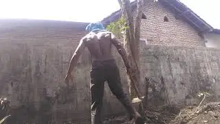 TEBANG KAYU PAKAI PECOK EPISODE 98