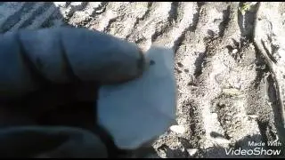 Awesome serrated Kirk and nasty drill