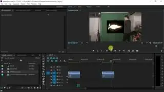 How to make a SIMPLE muzzle flash in Premiere Pro