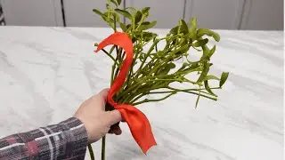 Вы вешаете омелу на Рождество? Сначала посмотрите это.
