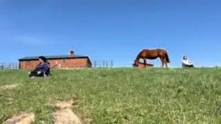 Finding Peace Through Horse Connection Retreats #horsetherapy #equinetherapy #horses