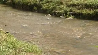3 ON YOUR SIDE: Fort Oglethorpe leaders say Black Branch Creek can't be blamed for extreme flooding