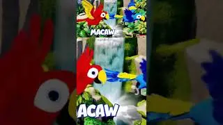 Macaw & Puffin Beautiful Birds Learning About Our Feathered Friends | The Amazing Bird Explorer!
