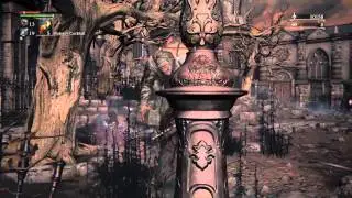 BloodBorne Hunter Chief Emblem and blood echo farming
