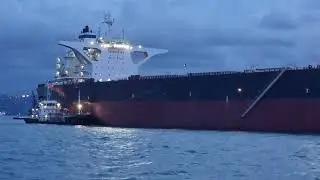 Twilight Tankers: Evening Ship Spotting Adventures | MARITIME WORLD | SOUND OF NATURE | OCEAN | SEA