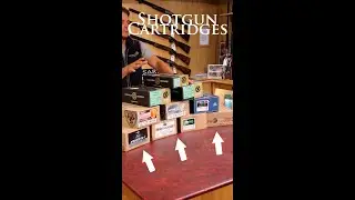 Shotgun Cartridges