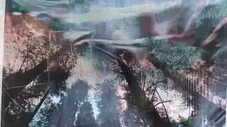 Alex McEwan - What Is Love (Official Video)