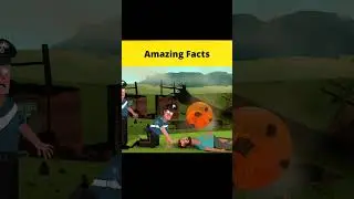 Definitely Not The Smartest People - Part 4 || #shorts || #FactBeast