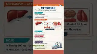 Learn about Metformin!