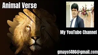Leopard Hunts Antelope | Real Animal Attack in Jungle | Wild Animal Documentary