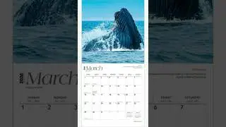California Nature | 2026 Square Wall Calendar | Plastic-Free