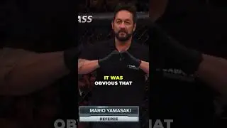 Эта поздняя остановка боя &mdash; вот почему рефери больше не работает в UFC