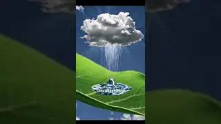 The Water Cycle in 30 Seconds 🌦️ | Simple Science Explained