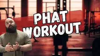 Подходит ли вам тренировка PHAT?