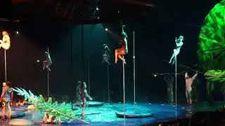 Luzia, Cirque du Soleil- Pole Dance