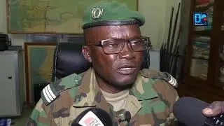 Ziguinchor: Les agents des Eaux et Foret ont saisi 1000 planches et alpagué le trafiquant