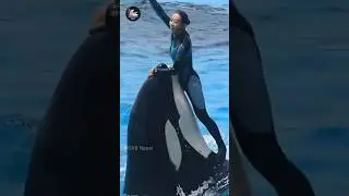 Swimming with dolphins 7 #beach #music #edm #games #shorts #trending #memes @ArbindNepal897