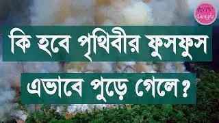দেখুন কিভাবে পুড়ে যাচ্ছে পৃথিবীর ফুসফুস| Amazon Forest Fire | #GullyBoy-(RSTV Bangla)