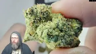 Black Cherry Soda THCA Review 🍒🔥 | BakeBoxx Flower & 300mg Peanut Butter Cup Cookie Bar 🍪💨