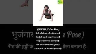 Full Body Yoga at Home | 40mins Daily Yoga Routine for Holistic Health