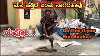 ಯಪ್ಪೋ ...! ಮನೆ ಹತ್ತಿರ ಬಂತು ನಾಗರಹಾವು | If You See snakes Do Not Kill | Do This | Snake Videos