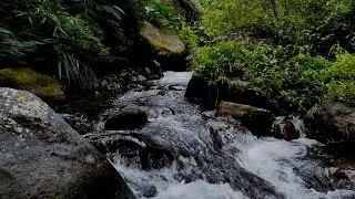 Fall Asleep to the Sounds of a Pristine Mountain River &ndash; 10 Hours of Pure Nature Ambience