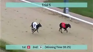 Perry Barr Greyhounds Trials on 23rd April 2022