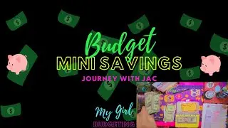 Mini Binder Savings|Lunch & Save #budgeting #money #budget #budget