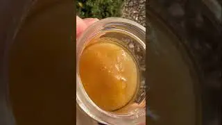 Micro Diamonds In Sauce 💎 🍯  #dabs #rosin #710 #420 #420daily #liverosin