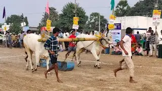 5వ జత KK బుల్స్ కుర్రా కోటయ్య గారు ముక్కమల గ్రామం | 2 పళ్ళ విభాగం మొర్జంపాడు