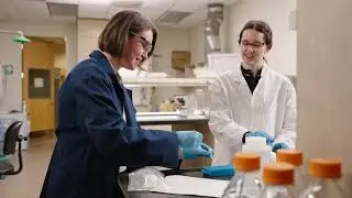 Lower American River Bacteria Study