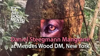Daniel Steegmann Mangran&eacute; at Mendes Wood DM, New York