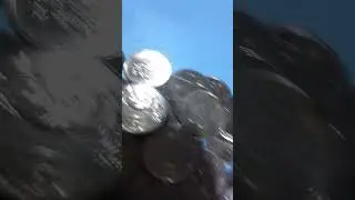Maliit lang naharvest namin sa isang Araw || Pisowifi