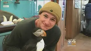 UPenn Community Remembering Missing Student Found Dead In California