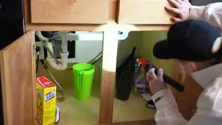 MGK&rsquo;s Professional Cockroach Control Protocol in Residential Facilities: Inspection