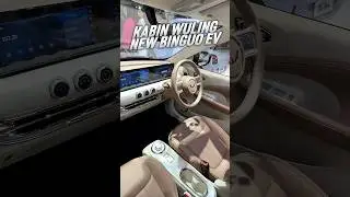 KABIN WULING NEW BINGUO