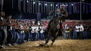 جديد مهرجان دحية ال ابو غرارة القرية البدوية| ايوب ابو جليدان ومحمود بن خماش و احمد واحسن عمران